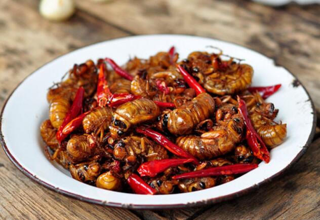 知了猴的营养价值和功效,知了猴怎么做好吃