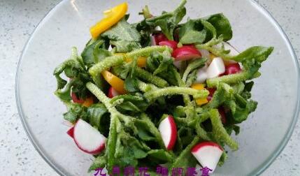 蔬菜沙拉的做法大全,蔬菜沙拉怎么做好吃,蔬菜沙拉的家常做法