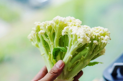 菜花的做法大全,菜花怎么做好吃,菜花的家常做法