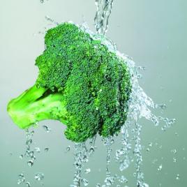 西兰花怎么做好吃