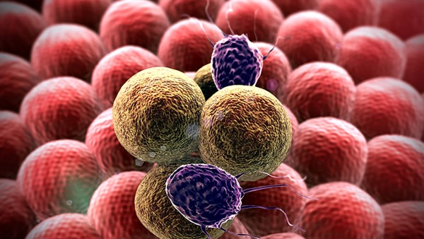 hpv病毒怎么检查