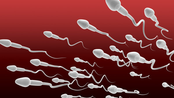 男人精子成活率低怎么办