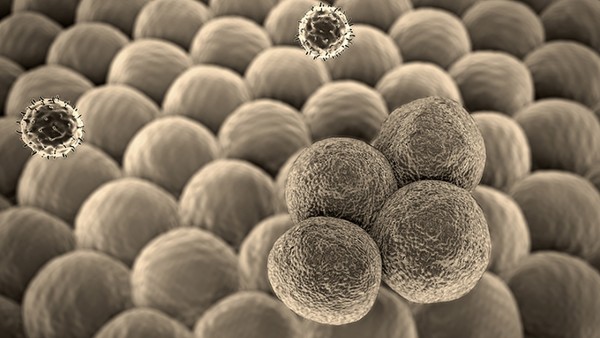 口腔癌需要做哪些检查