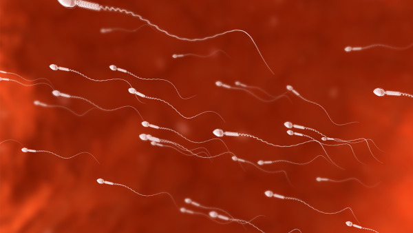 精子成活率多少正常