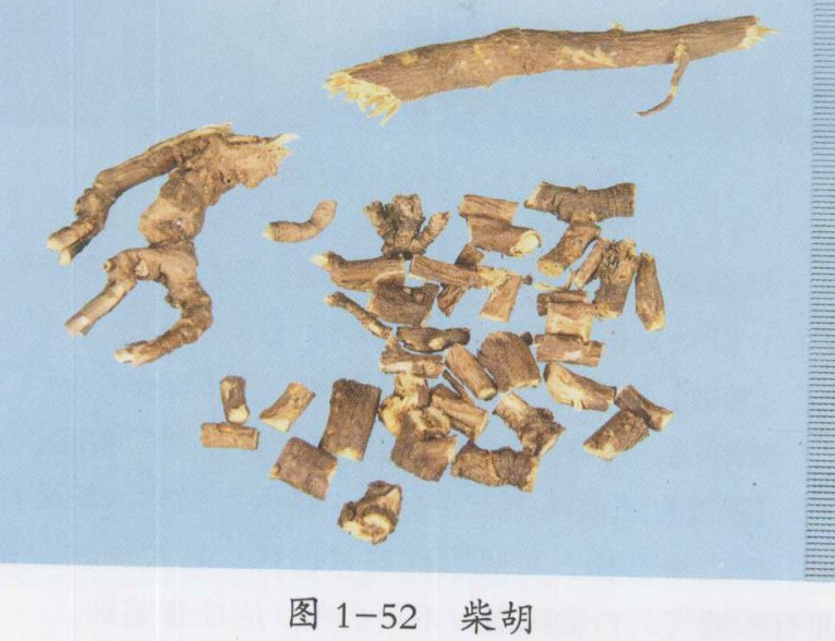 风寒感冒辨证论治医案