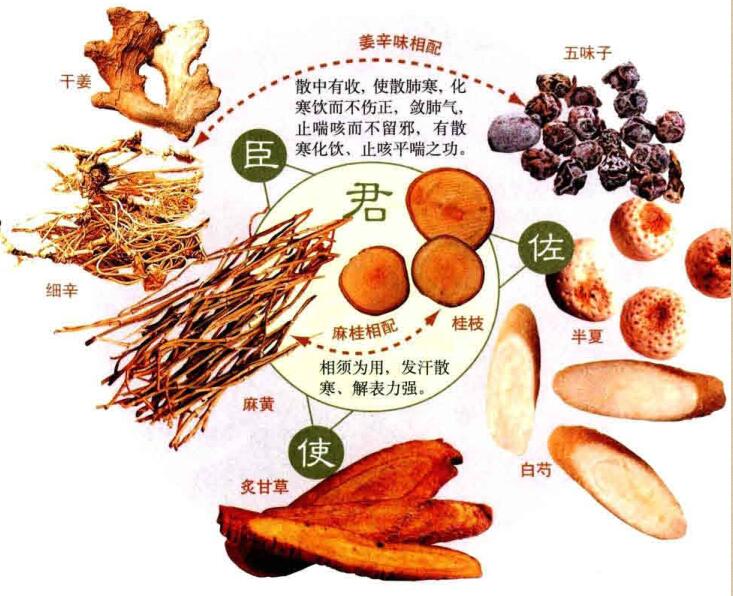 小青龙汤的组成及功效方解