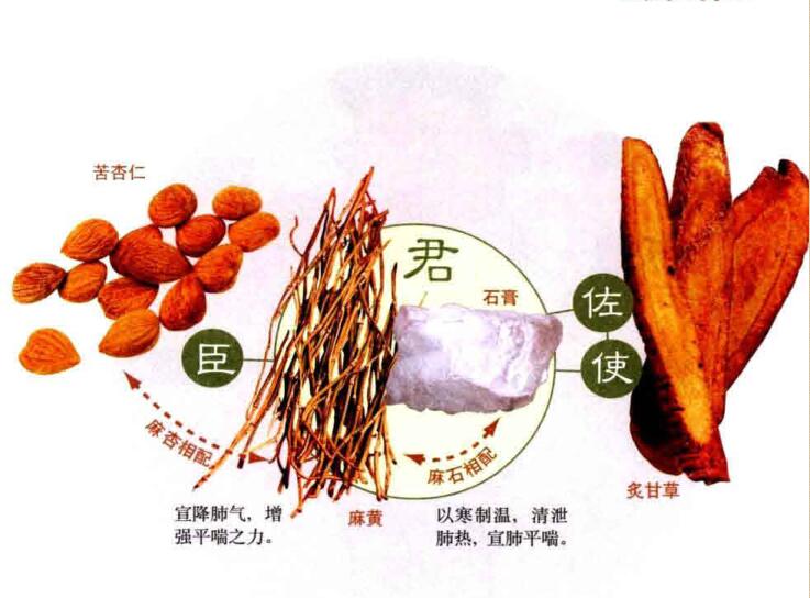 麻黄杏仁甘草石膏汤的方歌与功效
