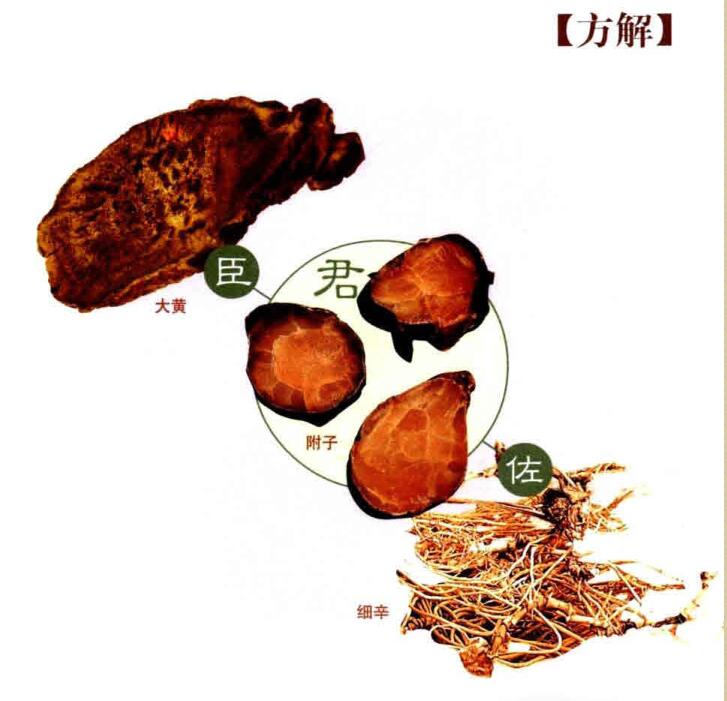 大黄附子汤的组成,功效,方解,临床应用