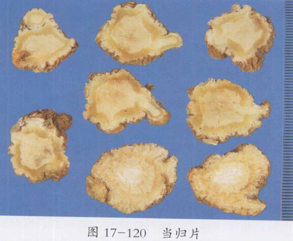 当归四逆加吴茱萸生姜汤医案二则