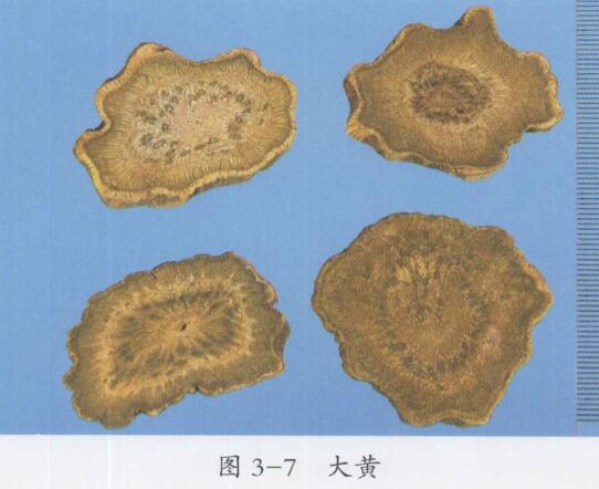 大承气汤医案解析