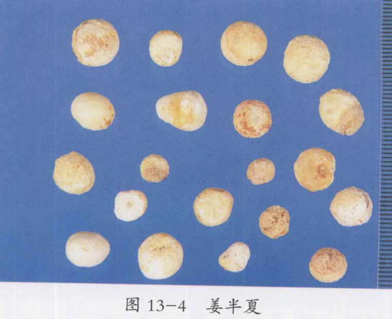 瓜蒌薤白半夏汤加减治疗胸痹心痛