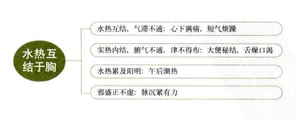 大陷胸汤的组成与功效