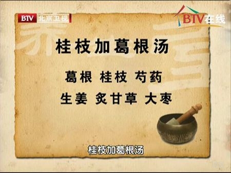 桂枝加葛根汤组成，加减运用，桂枝加葛根汤医案