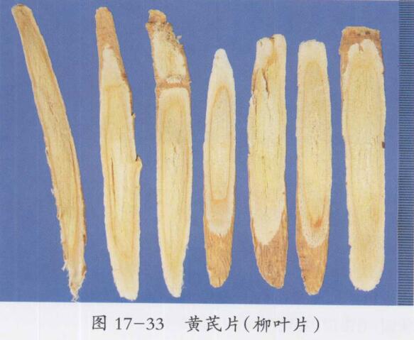黄芪桂枝五物汤加减治疗血痹之症