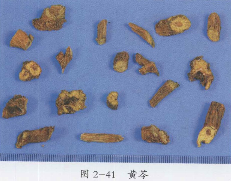 风热感冒中医治疗医案一则