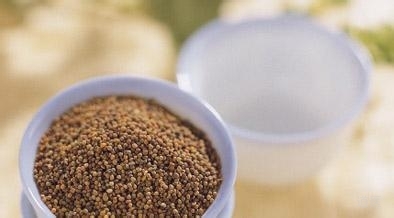 桂枝附子汤，黄芪桂枝五物汤加减治疗下肢萎弱不能行