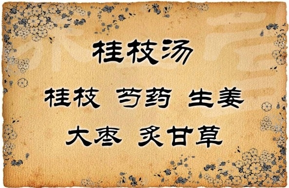 桂枝汤医案解析