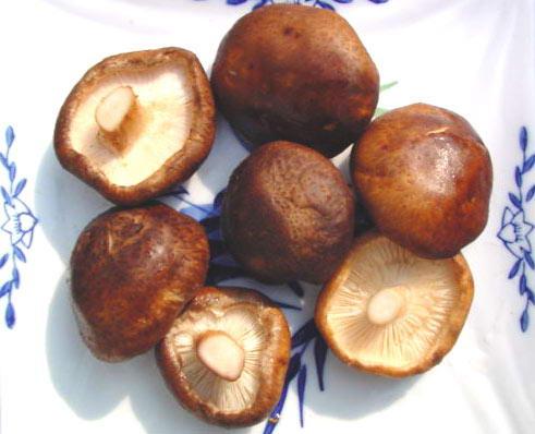 老年人高血压的饮食原则,老年人降血压多吃4色食物