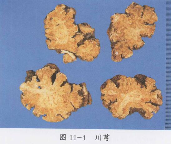 川芎研末烧酒冲服治好十余年胃脘痛