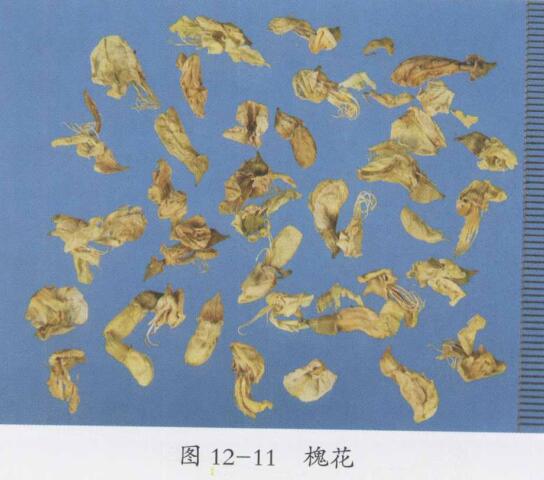 内痔出血的治疗偏方