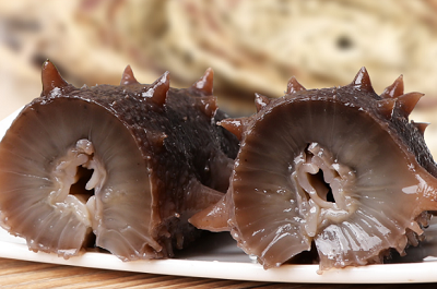 海参的功效与作用及禁忌人群