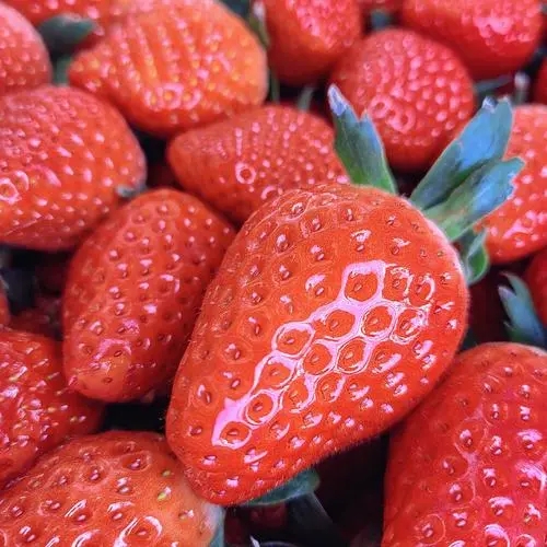 草莓的营养价值及功效