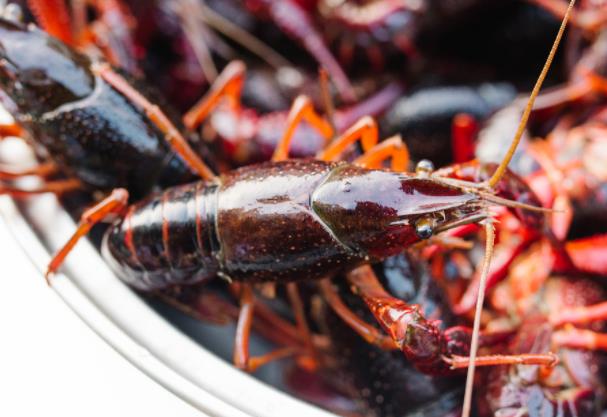 隔夜的小龙虾怎么吃 大火煮开20分钟左右