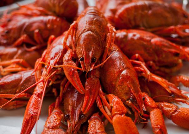 吃小龙虾过量会怎么样 消化不良失眠容易长胖