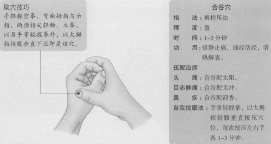 合谷的准确位置图片快速找法,合谷穴的作用和功效主治