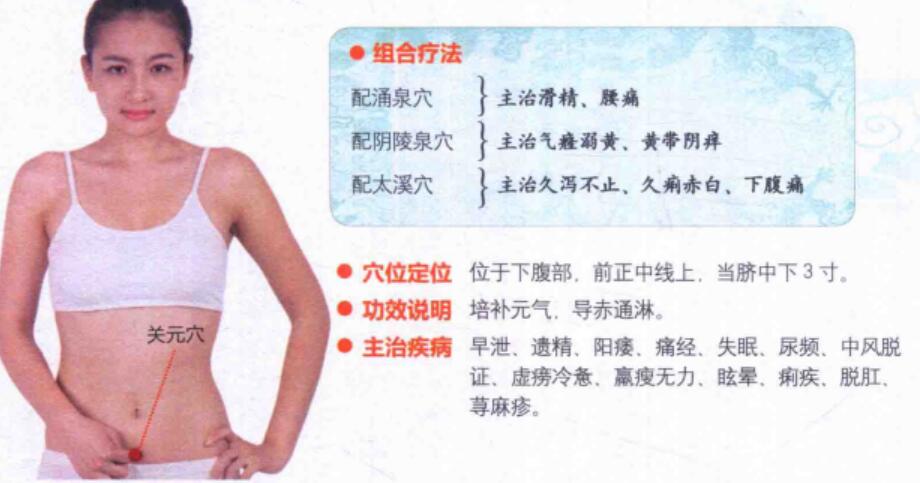 关元穴的准确位置图与作用