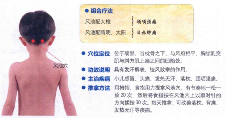 风池穴的准确位置图片