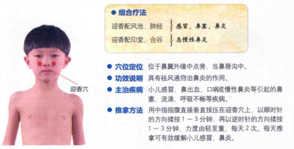 迎香穴的准确位置图,功效与作用