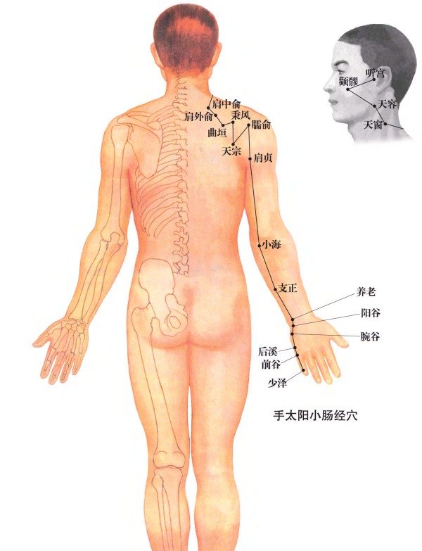人体穴位经络大图