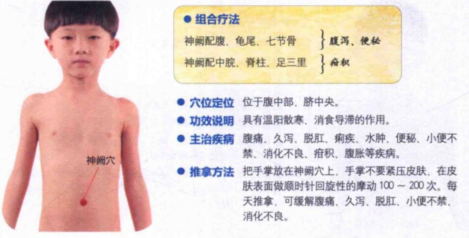 神阙的准确位置图,穴位图片