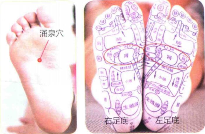 涌泉的准确位置图图解,穴位定位,功效作用