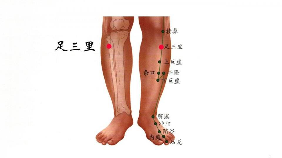 足三里的取穴方法,艾灸足三里的功效与作用