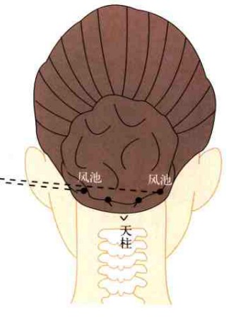 按摩风池有什么功效和好处？按摩风池穴的方法介绍