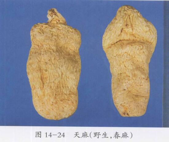 高血压的食疗偏方大全