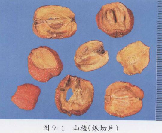 冠心病的食疗偏方大全