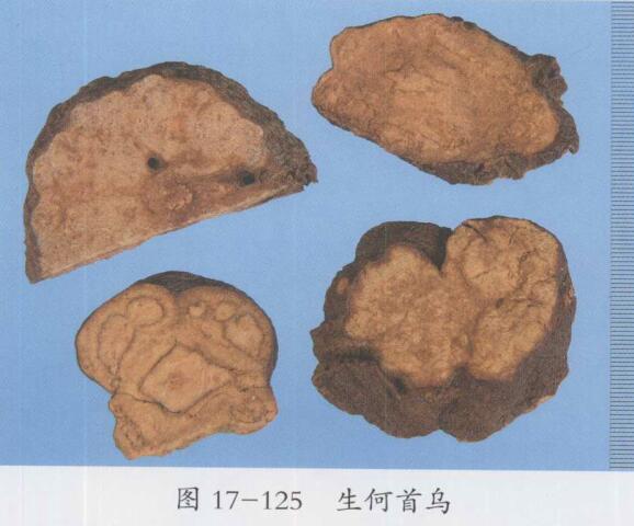 白发脱发食疗方法