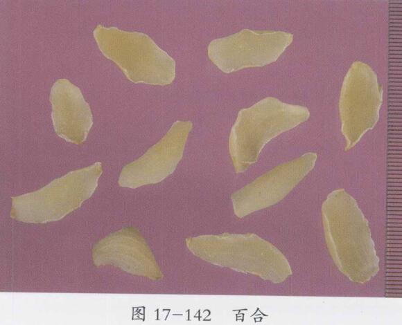 肺虚咳嗽，肺热咳嗽的食疗方法