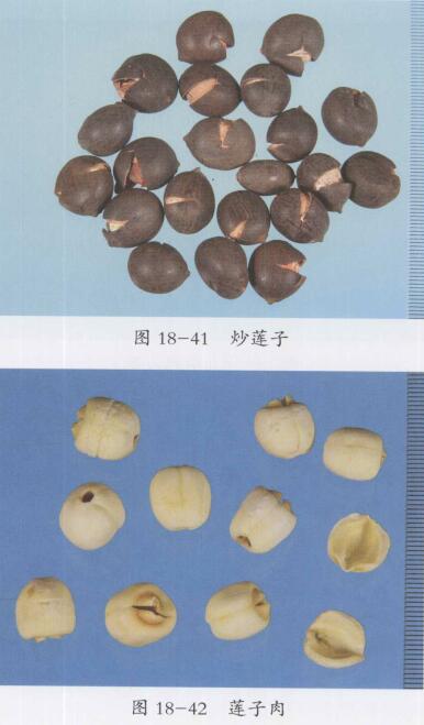 高脂血症的食疗方法,饮食食谱