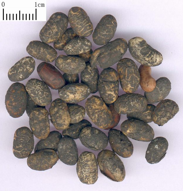 治感冒的食疗方法,感冒的食疗小偏方