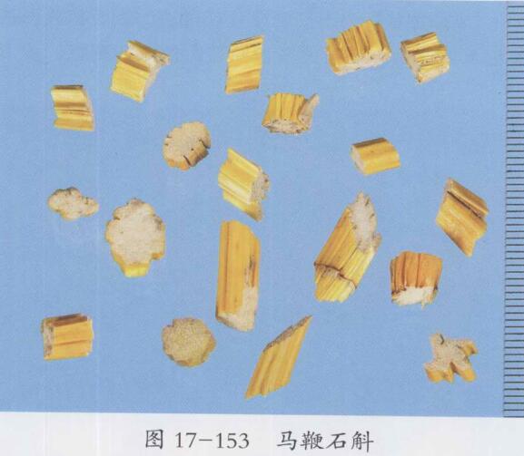 石斛的功效与作用