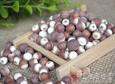 芡实的功效与作用