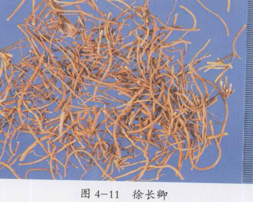 徐长卿的功效与作用