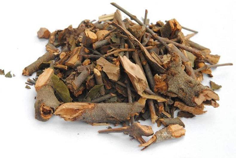 桑上寄生的功效与作用