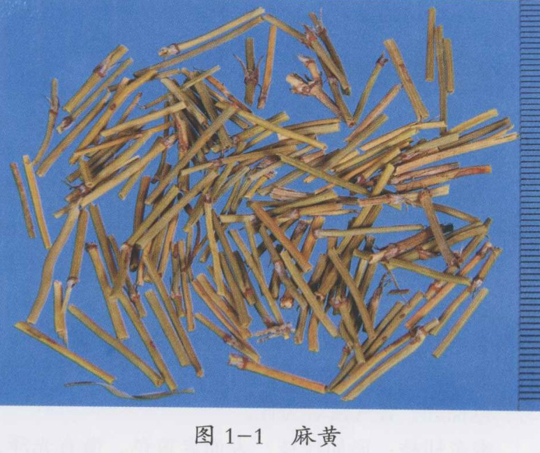 治疗咳嗽的中药有哪些,治疗咳嗽喘促用药规律歌括