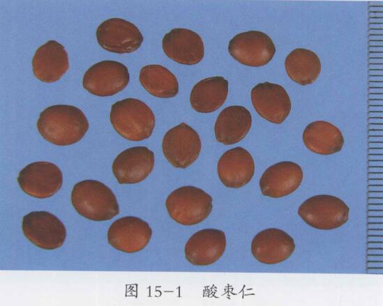 酸枣仁的功效与作用及禁忌,酸枣仁的配伍应用