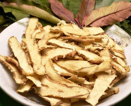 知母的功效与作用及禁忌,中药知母图片